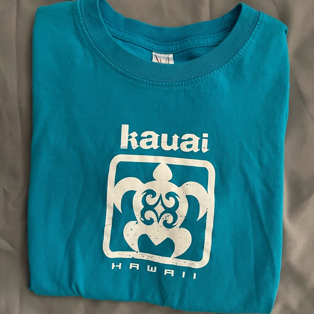 Hawaii top - Picture 2 of 2